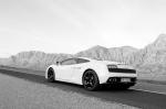 Lamborghini Gallardo LP560-4 2008 года